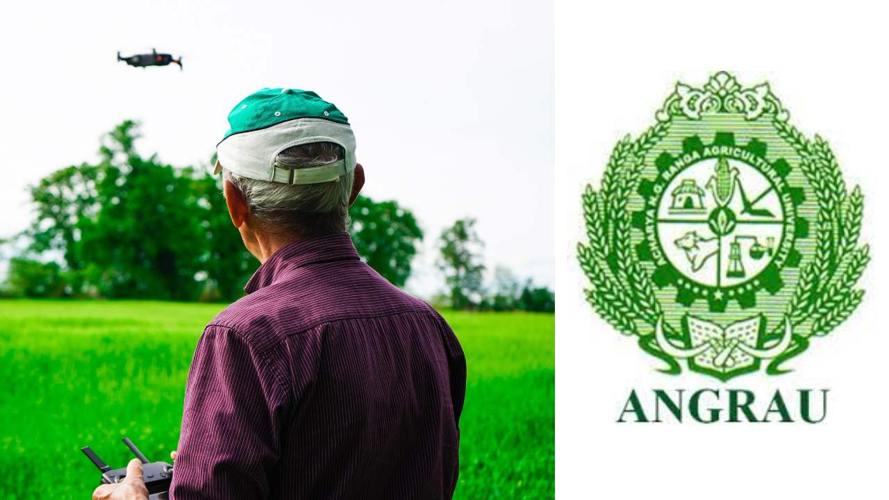 ANGRAU Recruitment 2022 Apply Online for Latest ANGRAU Notification Job  Vacancies at angrau.ac.in